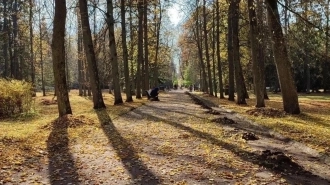 Колесов рассказал о погоде в Петербурге в ближайшее время