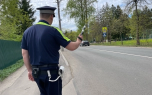 За шесть дней в Петербурге и Ленобласти на "встречку" выехали почти 600 водителей