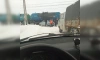 В Ленобласти легковушка попала под грузовой поезд 