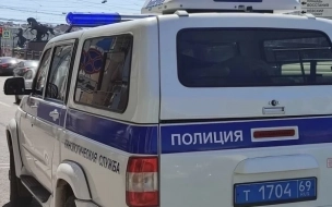 Мужчина с криминальным прошлым задержан по подозрению в убийстве матери на севере Петербурга
