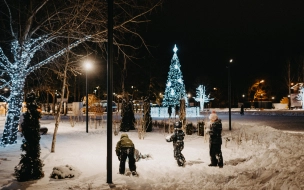 В Кронштадте ель украсили новогодними шарами от Хабенского и Розенбаума