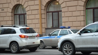 На ж/д станции Петербурга поймали 19 нелегалов