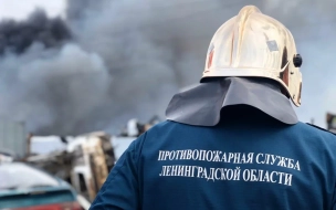Завод металлоизделий "Звезда" тушили 22 пожарных
