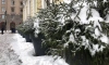 В Петербурге 7 декабря антициклон усиливает морозы