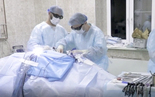 В Петербурге в 2020 году провели 95 операций по трансплантации органов 