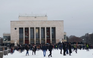 Анна Митянина прокомментировала задержание 11-летней девочки на митинге 31 января