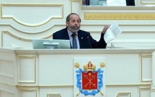 Парламент Петербурга вновь отклонил проект по защите граждан при реновации