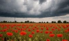 В Ленобласти 18 июня ожидается облачная погода