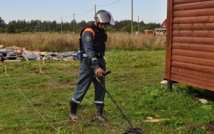 В 2021 году в Ленобласти обнаружили более 800 боеприпасов времен ВОВ 