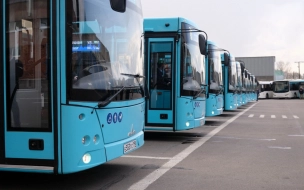 В Петербурге на четыре маршрута вышли дополнительные автобусы