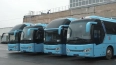 Петербург принял новые китайские автобусы повышенного ...