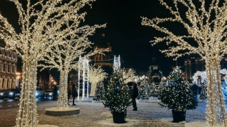Новогодние украшения в Петербурге не будут снимать до 14 января