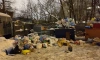 В "Невском экологическом операторе" объяснили, почему в Петербурге 1 января были переполнены все мусорные баки