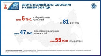 Дистанционное электронное голосование в 2025 году будет применяться в 23 субъектах РФ