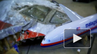 Прокурор по делу MH17 заявил, что самолет был сбит "Буком"
