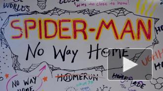 Sony Pictures представила официальное название третьей части "Человека-паука"