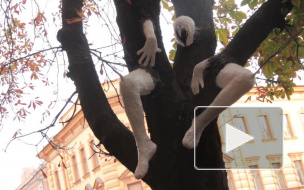 На Фестивале "Арт Проспект" у деревьев выросли ноги и руки, на столбах появилась паутина, а из пней вылезли металлические человечки