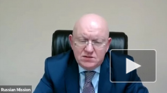 Представители Украины не пришли на заседание Совбеза ООН по Крыму