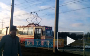 Видео: на проспекте Ветеранов образовалась огромная пробка из трамваев 