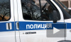Перепивший петербуржец сломал руку полицейскому на Витебском проспекте