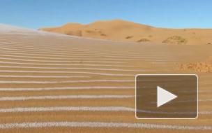 В пустыне на территории Алжира и Марокко выпал снег