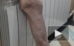 Тепло придет в дома петербуржцев после 19 сентября