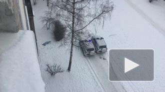 По окнами на Алпийском утром нашли труп