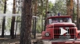 Площадь лесного пожара в Алтайском крае выросла до ...