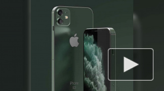 В сети появились первые фото iPhone SE 2