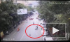 Видео: в Китае гусь упал с дерева и сбил мотоциклистку 