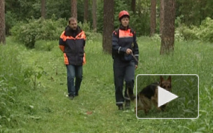 В Якутии отходит от шока девочка, которая 12 дней блуждала по тайге со щенком