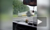Рейсовый автобус столкнулся с грузовиком в Кемеровской области