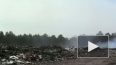 Пожар на свалке в Ленобласти охватил площадь в 2,5 ...