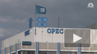Названа новая дата встречи стран ОПЕК+