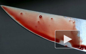 Мать убила и расчленила 11-летнего сына, помешавшего ей выйти в интернет