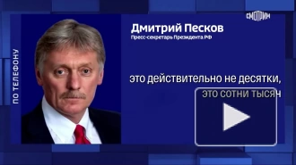 Песков: Кишинев не предоставил права голоса сотням тысяч молдаван в РФ