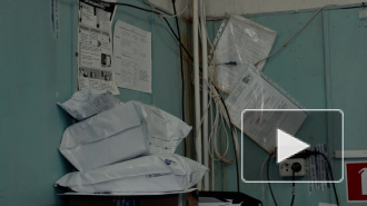 "В потолке дырки, а из них проводка торчит": Шушары два года ждут ремонта почтового отделения
