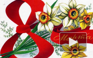 Поздравления с 8 марта: прикольные, смешные короткие смс в стихах и прозе - прекрасный знак внимания для женщин