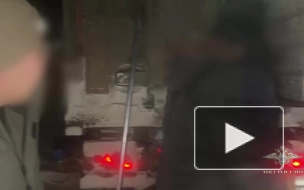 В Забайкалье полиция остановила грузовик с тоннами красной икры и краба