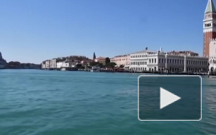 В Венеции из-за карантина во время пандемии очистилась вода в каналах