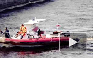 Петербурженка на Тойоте упала в Мойку