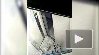 В Барнауле на ребенка едва не обрушилось зеркало в лифте