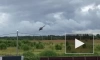 Момент жёсткой посадки военного вертолёта под Гатчиной попал на видео