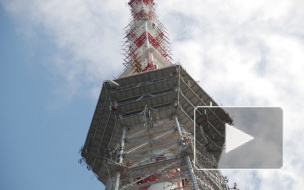 Следующей целью кроликов-руферов в станет петербургская телебашня