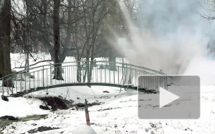 Дыхание Петербурга: важнейшие события недели