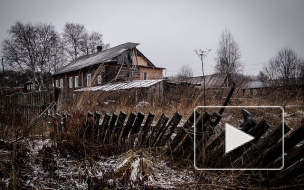 В Липецке пенсионерка закопала труп сожителя в огороде