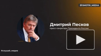 Песков: предпосылок для мирных переговоров по Украине в настоящий момент нет