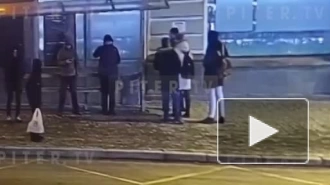 Опубликовано видео избиения петербурженки на Суворовском проспекте