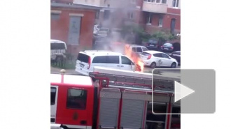 В Ладожском парке загорелся автомобиль 