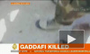 ПНС закрыл доступ к телу Каддафи